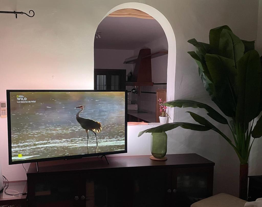 Casa Con Piscina En San Jose Sotillo Dış mekan fotoğraf